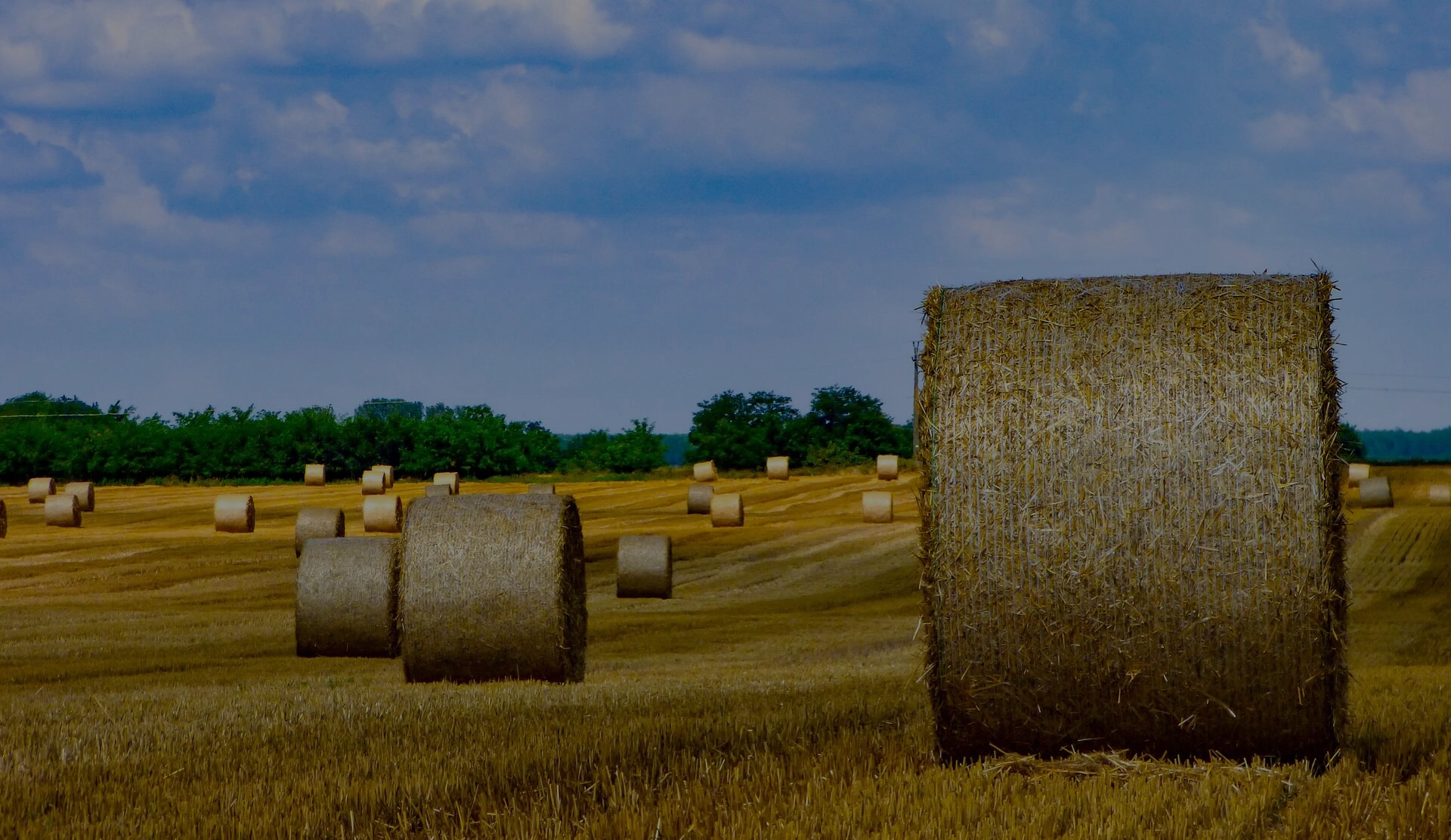 Agricole - Matériel professionnel ESD Bricotech